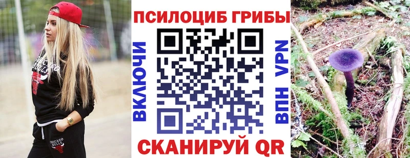 Псилоцибиновые грибы прущие грибы  Далматово 